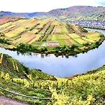 公寓 Haus Am Ufer Mit Rheinpanoramablick *
