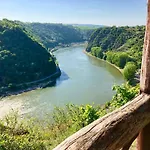 Haus Am Ufer Mit Rheinpanoramablick 公寓 *