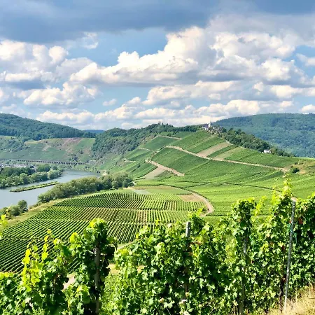 Haus Am Ufer Mit Rheinpanoramablick * Koblenz (Rhineland-Palatinate)