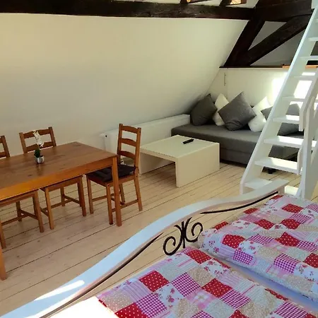 Haus Am Ufer Mit Rheinpanoramablick Daire *