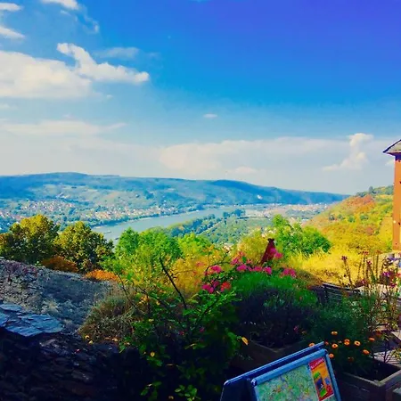 Haus Am Ufer Mit Rheinpanoramablick Daire *