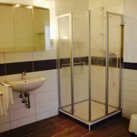 Haus Am Ufer Mit Rheinpanoramablick Appartement