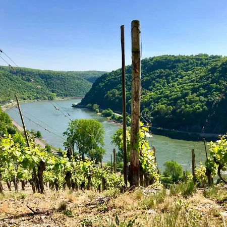Daire Haus Am Ufer Mit Rheinpanoramablick