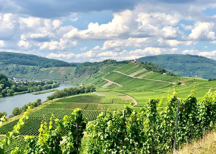 Haus Am Ufer Mit Rheinpanoramablick * Koblenz (Rhineland-Palatinate)
