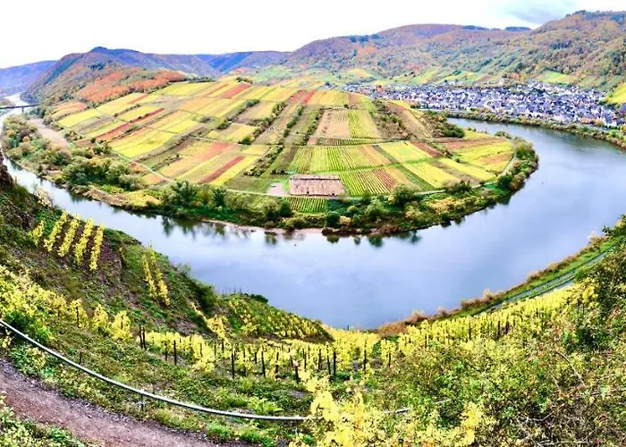 Apartment Haus Am Ufer Mit Rheinpanoramablick *