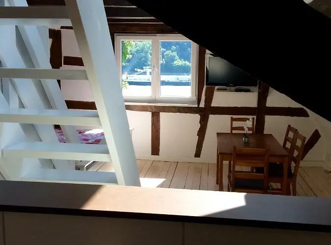 Haus Am Ufer Mit Rheinpanoramablick Apartment