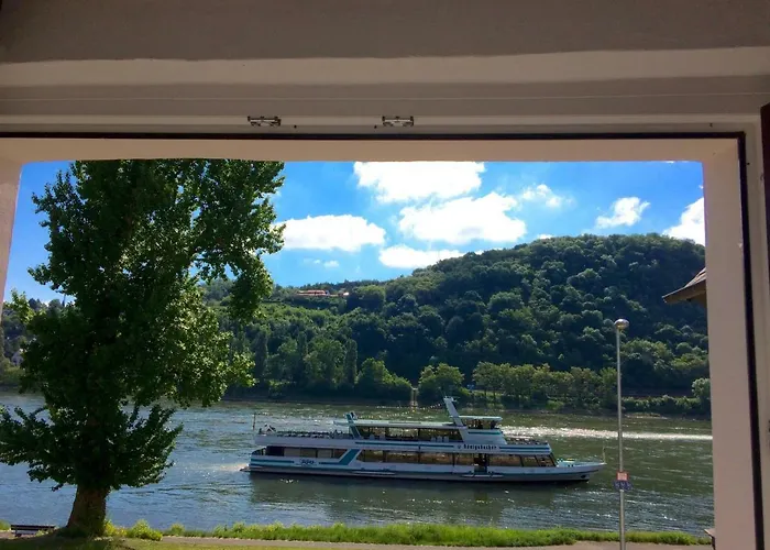 Haus Am Ufer Mit Rheinpanoramablick *