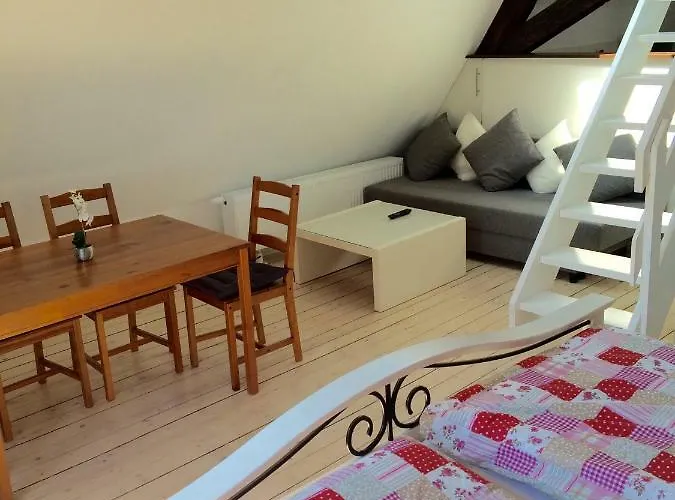 Haus Am Ufer Mit Rheinpanoramablick Apartment *