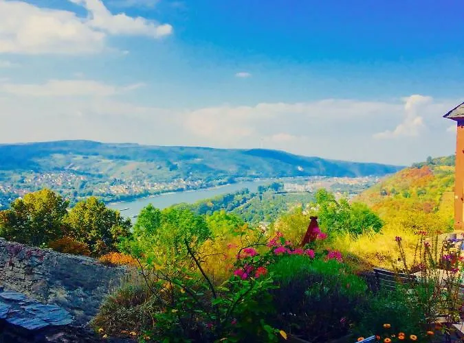 Haus Am Ufer Mit Rheinpanoramablick Apartment *