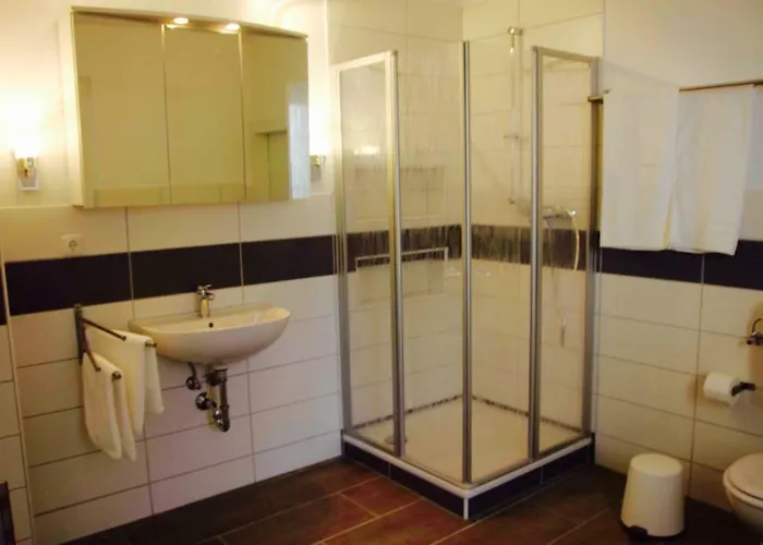 Haus Am Ufer Mit Rheinpanoramablick Apartment