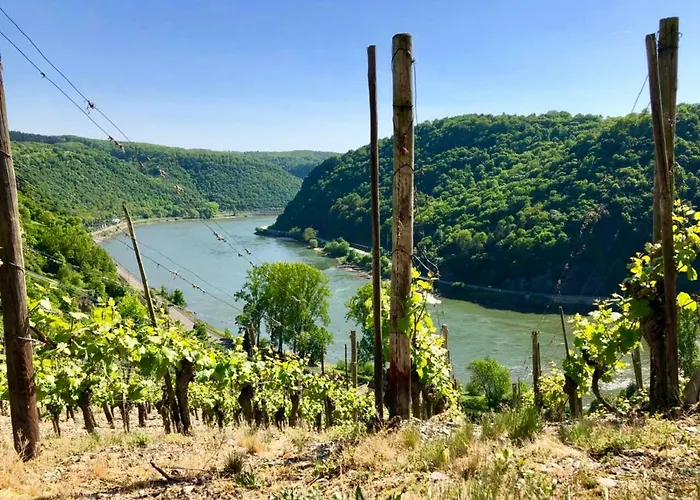 Apartment Haus Am Ufer Mit Rheinpanoramablick