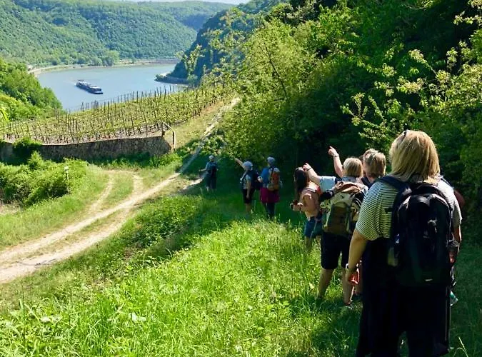 Haus Am Ufer Mit Rheinpanoramablick