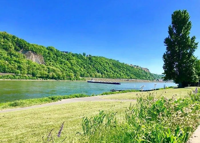 Haus Am Ufer Mit Rheinpanoramablick *